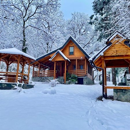 Villa Brvnara Vrsac Exterior foto