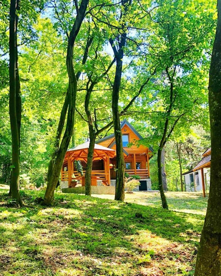 Villa Brvnara Vrsac Exterior foto