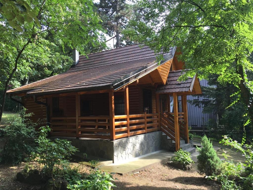 Villa Brvnara Vrsac Exterior foto