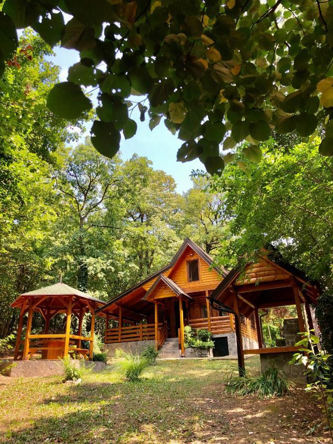 Villa Brvnara Vrsac Exterior foto