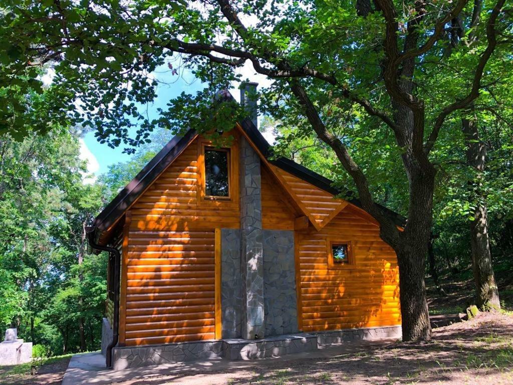 Villa Brvnara Vrsac Exterior foto